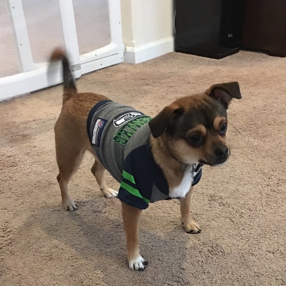 Meet your Posher! 🧜🏼♀️ - Picture 3 of 3